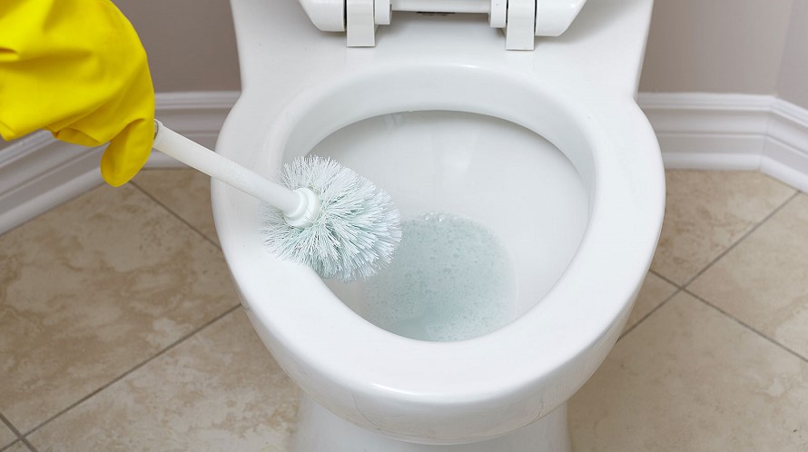 How to clean the ring around the toilet: best 8 tips & helpful guide
